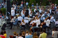 Strings at the park